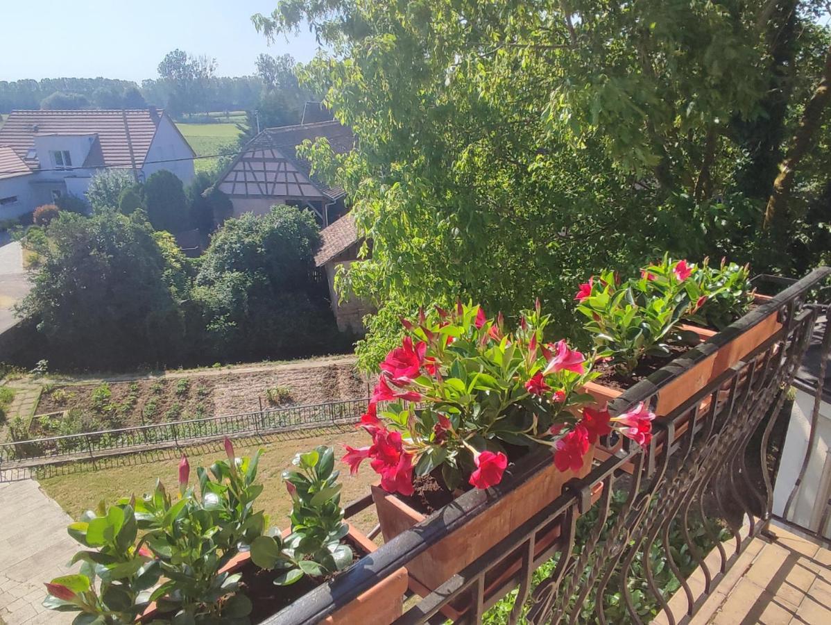 Appartement Des Rives De L'Ehn Krautergersheim ภายนอก รูปภาพ